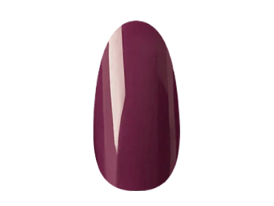 Berry Funky - Gel Polish - 14 Day Manicure - Nail Tip