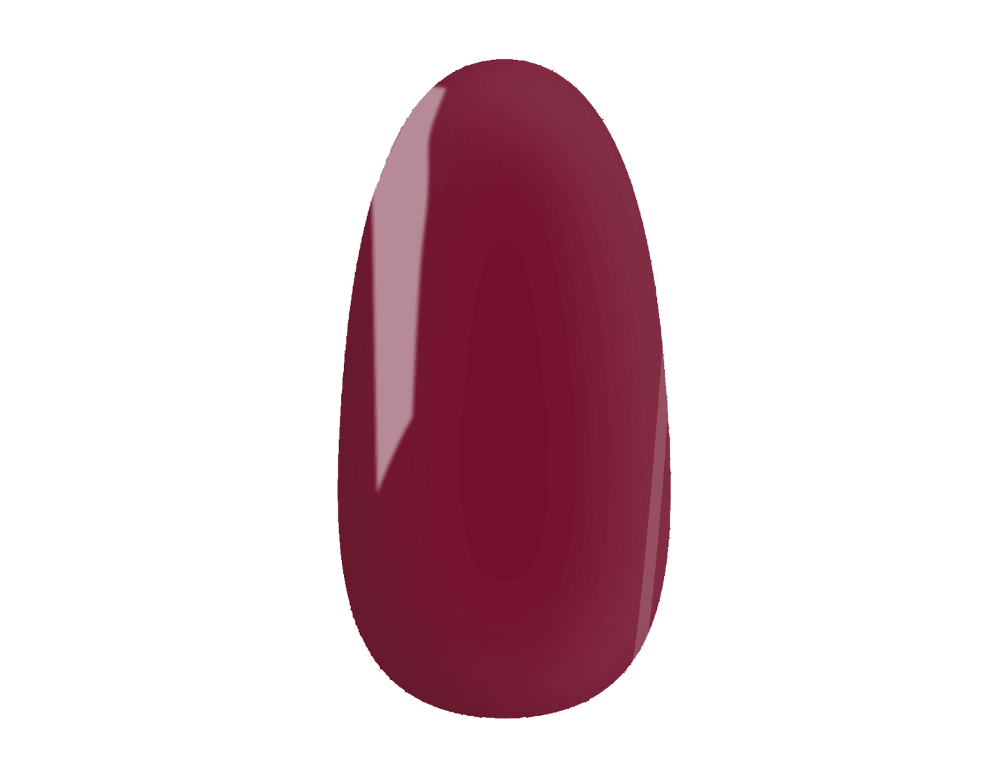 Chilli Willy - Gel Polish - 14 Day Manicure - Nail Tip