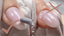 Builder Gel Do's & Don'ts - Tips To Perfect Your Nails | 14 Day Mani - 14 Day Manicure