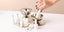 Gentle Gels™ Classic Collection - 14 Day Manicure