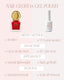 Create your Nail Gloss routine