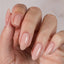 Hema-Free Builder Gel At-Home Kit