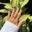 Woke or Nope - Sea Green HEMA-Free Gel Nail Polish 10ml - 14 Day Manicure