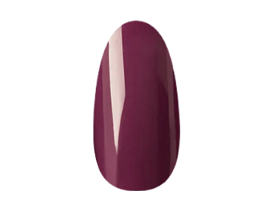 Berry Funky - Gel Polish - 14 Day Manicure - Nail Tip 