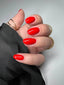 Classic Professional 20 Gel Polish Starter Kit - 14 Day Manicure