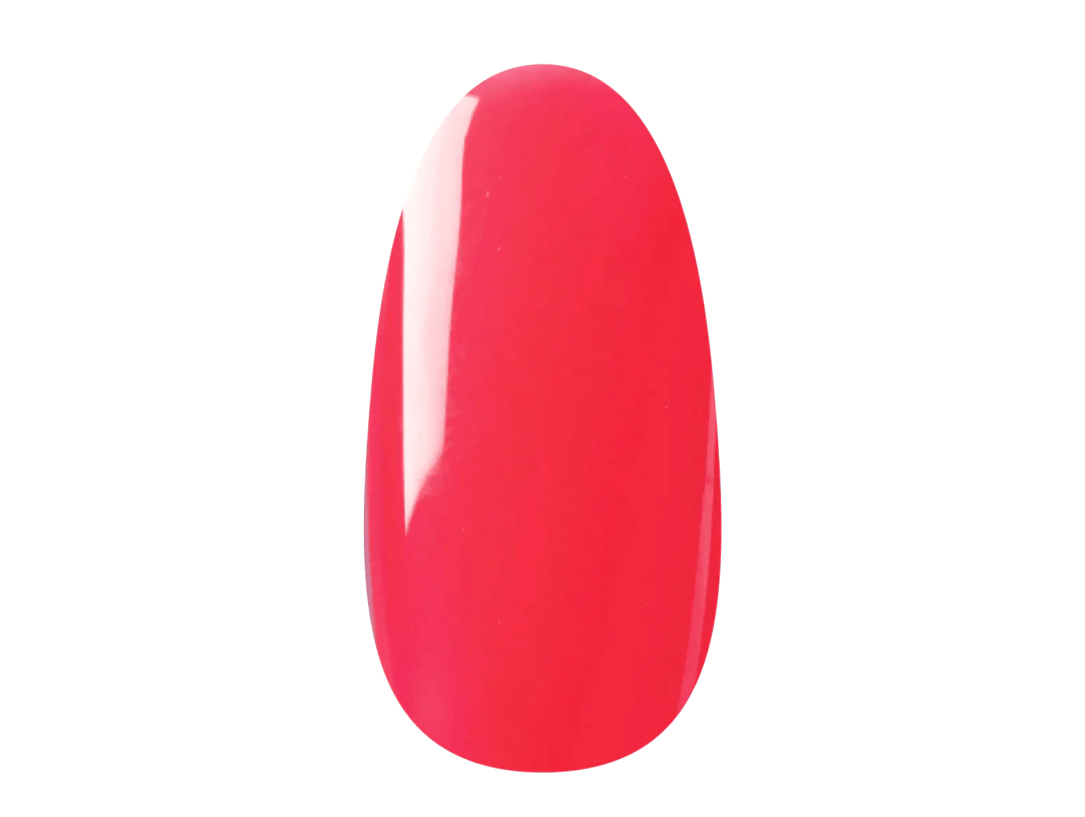 Hot & Spicy - Gel Polish - 14 Day Manicure - Nail Tip 